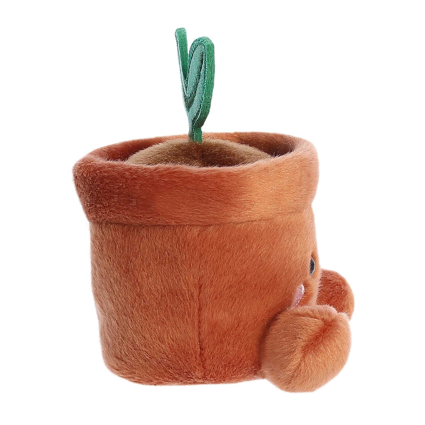 Aurora® - Palm Pals™ - 5" Terra Potted Plant™