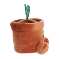Aurora® - Palm Pals™ - 5" Terra Potted Plant™