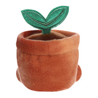 Aurora® - Palm Pals™ - 5" Terra Potted Plant™