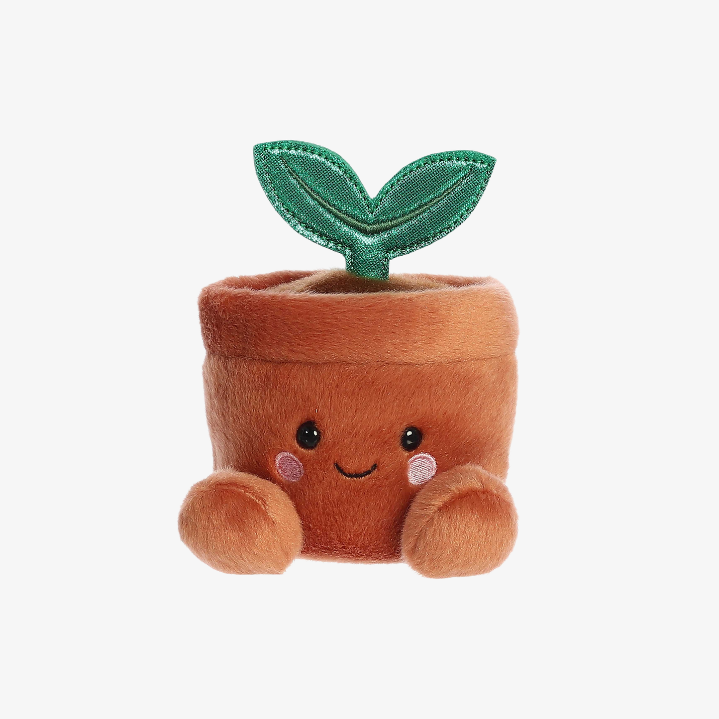 Aurora® - Palm Pals™ - 5" Terra Potted Plant™