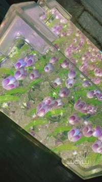 Llampara de tulipanes